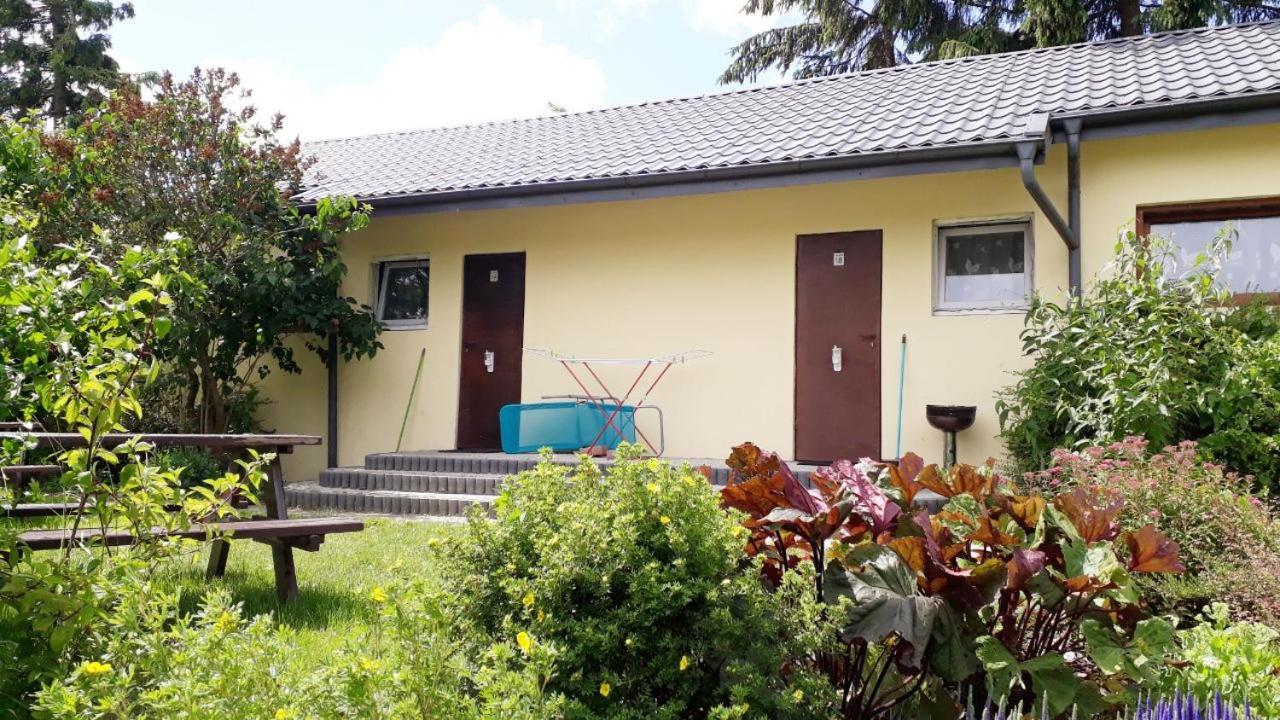 Ow Wilk - Pokoje I Domki Z Aneksami Kuchennymi, Parking, Plac Zabaw Łeba Dış mekan fotoğraf